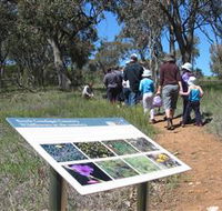 South Gundagai Woodlands Walk - Gold Coast Attractions