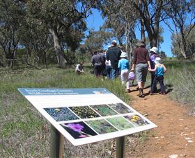 South Gundagai Woodlands Walk - Gold Coast Attractions 0