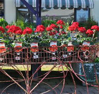 Van Loon's Nursery - Gold Coast Attractions