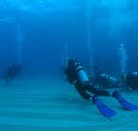 Man and Wife Rocks Dive Site - Gold Coast Attractions