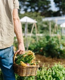 Kiltynane Wines - Gold Coast Attractions 6