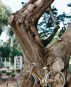 Kiltynane Wines - Gold Coast Attractions 8