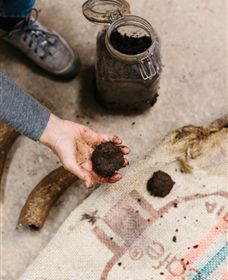 Kiltynane Wines - Gold Coast Attractions 7