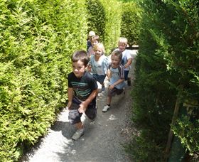 Hedgend Maze And Healesville Laser Sport - Gold Coast Attractions 1