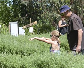 Hedgend Maze And Healesville Laser Sport - Gold Coast Attractions 2