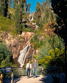 Steavenson Falls Marysville - Gold Coast Attractions 1