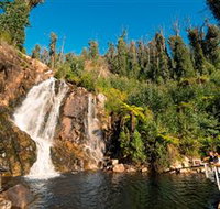 Steavenson Falls Marysville - Gold Coast Attractions