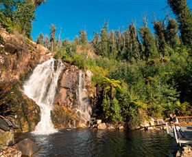 Steavenson Falls Marysville - Gold Coast Attractions 0