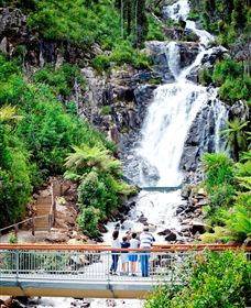 Steavenson Falls Marysville - Gold Coast Attractions 2