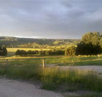 Gleneden Organic Farm and The Gleneden Bullock Team - Gold Coast Attractions