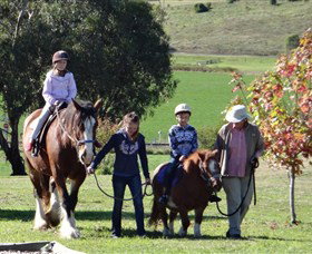 Bathurst Farm Experience - Gold Coast Attractions 0