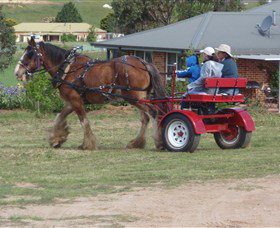 Bathurst Farm Experience - Gold Coast Attractions 3
