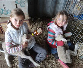 Bathurst Farm Experience - Gold Coast Attractions 4