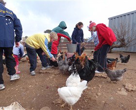 Bathurst Farm Experience - Gold Coast Attractions 2