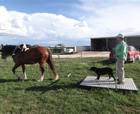 Bathurst Farm Experience - Gold Coast Attractions 6