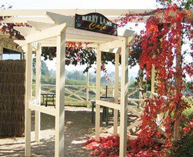 Blue Hills Berries & Cherries - Gold Coast Attractions 1