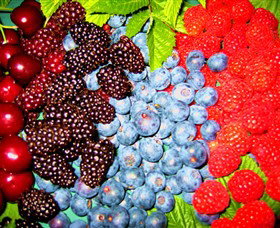 Blue Hills Berries & Cherries - Gold Coast Attractions 2
