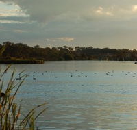 Lake Inverell Reserve - Gold Coast Attractions