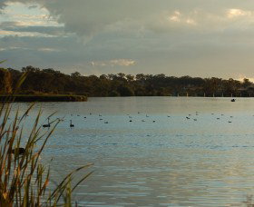 Lake Inverell Reserve - Gold Coast Attractions 0