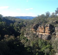 Ferntree Gully Reserve - Gold Coast Attractions