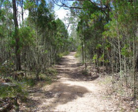 Goonoowigall State Conservation Area - Gold Coast Attractions 1