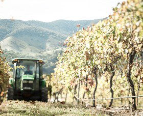 Logan Wines - Gold Coast Attractions 5