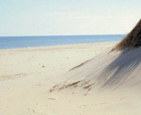 Lilley's Beach - Gold Coast Attractions 2