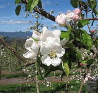 Mouat's Farm - Gold Coast Attractions