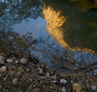 Abercrombie Karst Conservation Reserve - Gold Coast Attractions