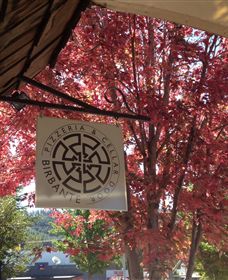 Billy Button Wines - Gold Coast Attractions 3