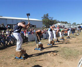 Quirindi Rural Heritage Village - Gold Coast Attractions 1