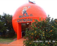 Gayndahs Big Orange