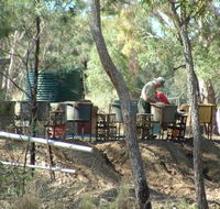 7 Oaks Sapphire Fossicking - Gold Coast Attractions