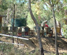 7 Oaks Sapphire Fossicking - Gold Coast Attractions 0
