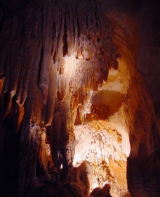 Careys Cave - Gold Coast Attractions 2