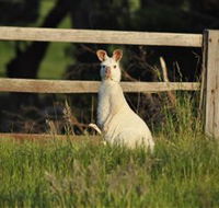 Panorama Garden Estate - Gold Coast Attractions