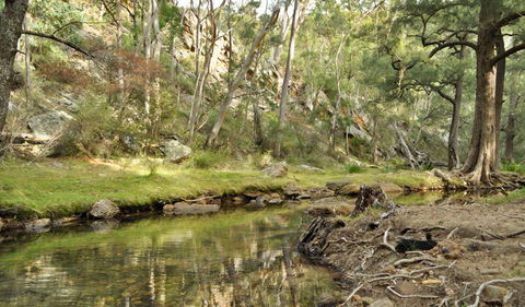 Capertee National Park - Gold Coast Attractions 0