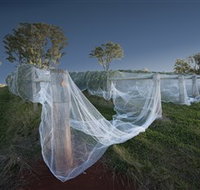 Toppers Mountain Wines - Gold Coast Attractions