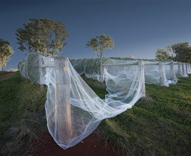 Toppers Mountain Wines - Gold Coast Attractions 0