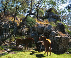 Gold Coast Attractions