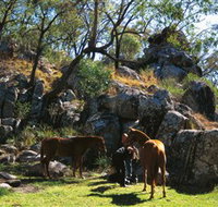 Coomba Falls - Gold Coast Attractions