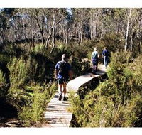 Hume and Hovell Walking Track - Henry Angel Trackhead - Gold Coast Attractions