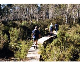 Hume And Hovell Walking Track - Henry Angel Trackhead - Gold Coast Attractions 0