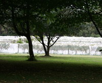 Staindl Wines