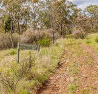 Old Mountain Road Walking Track - Gold Coast Attractions