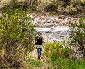 Old Mountain Road Walking Track - Gold Coast Attractions 1
