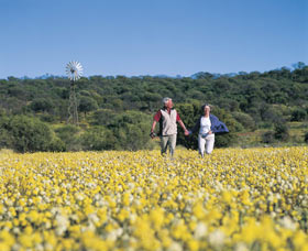 Koolanooka Springs - Gold Coast Attractions 0