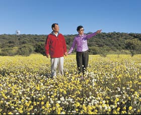 Koolanooka Springs - Gold Coast Attractions 1