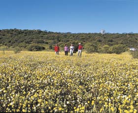 Koolanooka Springs - Gold Coast Attractions 2