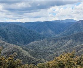 Black Perry Lookout - Gold Coast Attractions 1